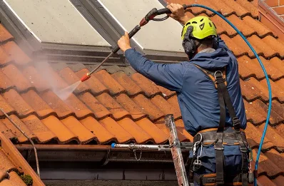 Démoussage et hydrofuge de toiture à Sérévillers